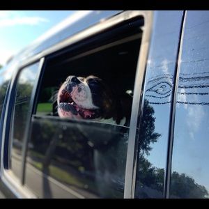 Meet your Posher, Joe